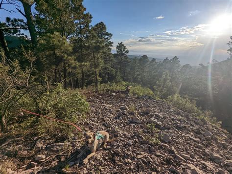 The Lincoln National Forest is finally open again after the drought and ...