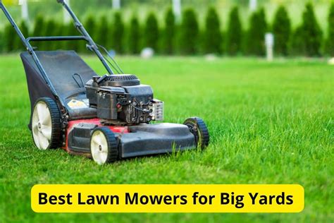 Best Lawn Mower 2024 Uk 2024 Datha Eolanda