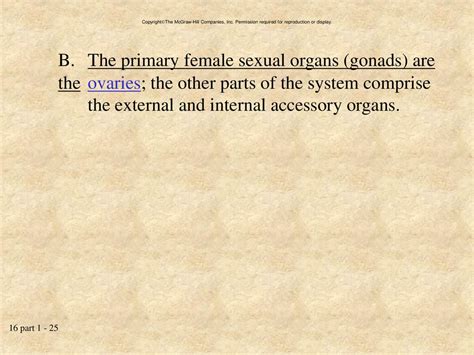 Chapter 16 Part 1 Reproductive Systems Ppt Download