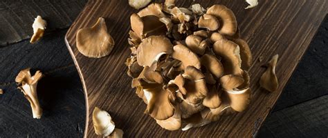 Mushrooms and Vitamin D: Do Mushrooms Contain Vitamin D? - Natures Rise