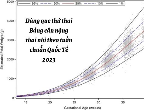 Biểu Đồ Cân Nặng Thai Nhi Hướng Dẫn Toàn Diện Giúp Mẹ Bầu Theo Dõi Sự