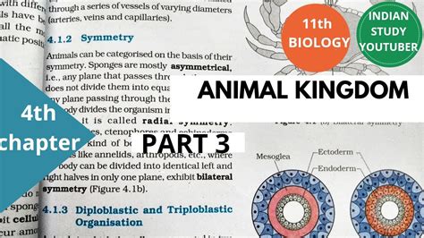 Ncert Class 11th Biology Chapter 4th Animal Kingdompart 3 Youtube