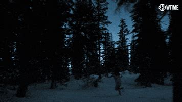 Snow Forest GIFs - Find & Share on GIPHY