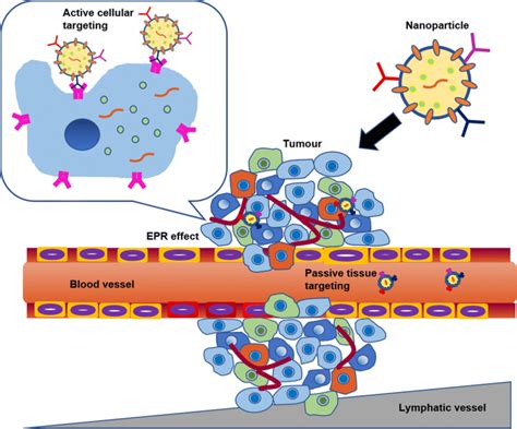 Schematic Illustration Of Active Targeting Vs Passive Targeting Of