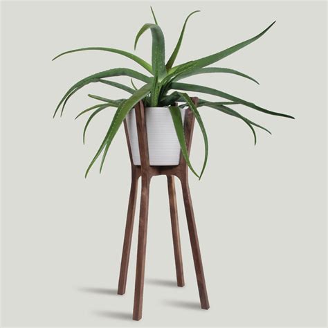 These 13 Modern Plant Stands Put Your Favorite Plants On Display ...