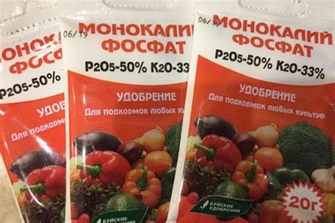 Монофосфат калия: инструкция по применению для садоводов