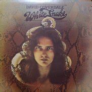 David Coverdale white snake LP 中古新品レコード CD 高価買取 出張買取 宅配買取