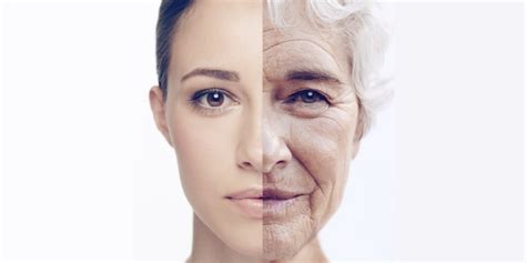 reverse ageing    cells young  babraham institute