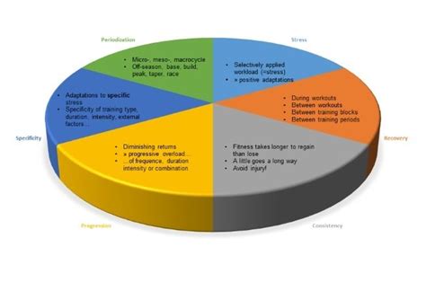 Triathlon training principles - Scientific Triathlon