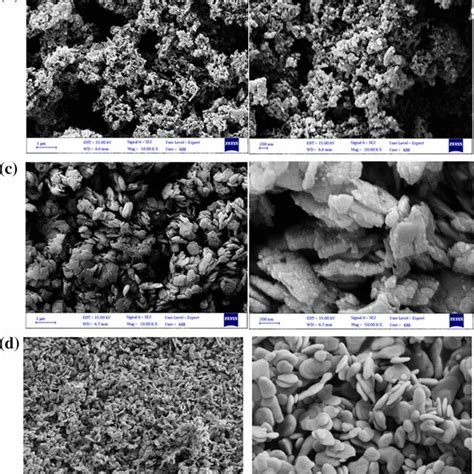 SEM Images Of The A BiOBr B PANI C BiOBr BiOCl PANI Nanocomposite D