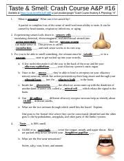 Crash Course Hearing And Balance Worksheet Docx Hearing