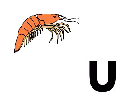 seribu mimpi 3d abjad bergambar 8