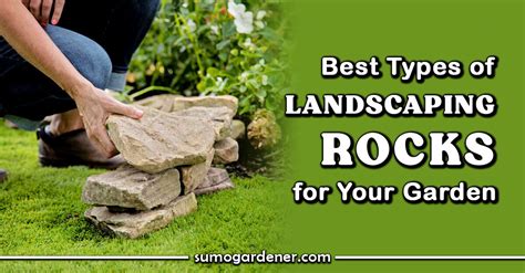 Best Types of Landscaping Rocks for Your Garden