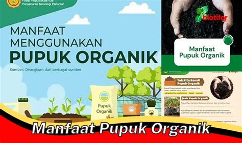 5 Manfaat Pupuk Organik Yang Jarang Diketahui Wajib Anda Ketahui