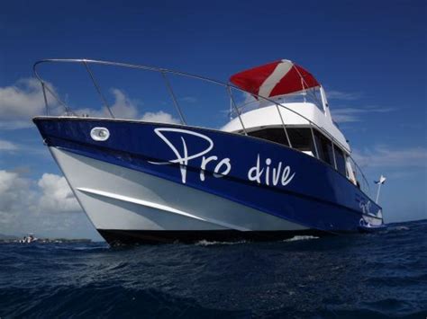 Excellent Dive Center With A Great Crew Review Of Pro Dive Mauritius