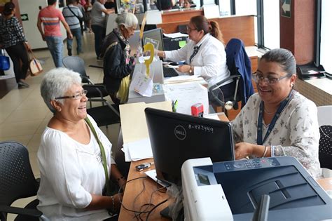 Funciones del Trabajador Social Guía Completa 2025