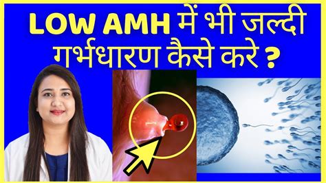 Low Amh Low Amh Causes Symptoms