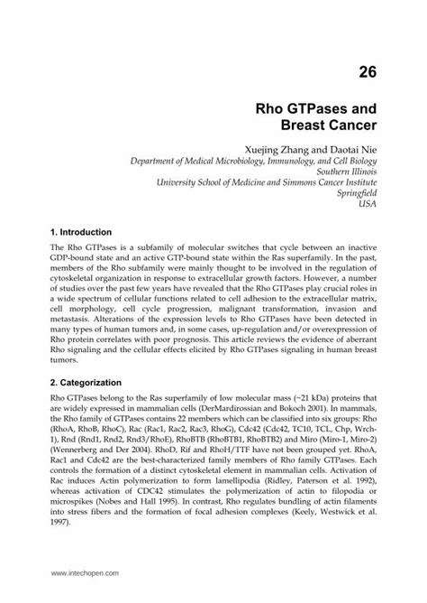 Pdf Rho Gtpases And Breast Cancer Rho Gtpases Belong To The Ras