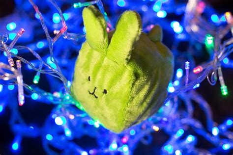 Green Rabbit By Marina Kera On Deviantart