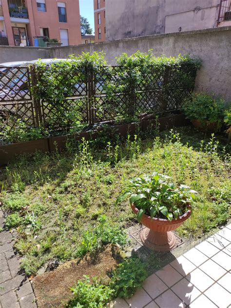 Busto Garolfo Garden Apartment Brickcoin