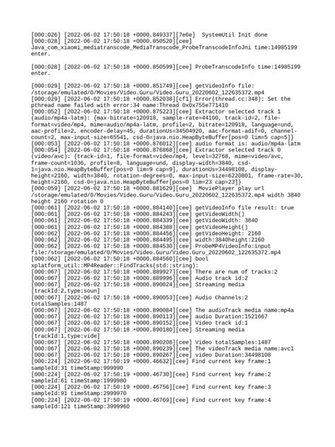 Log Entries Documenting The Analysis And Transcoding Of An Mp4 Video