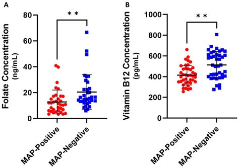 Folate and Vitamin B12 Deficiency Exacerbate Inflammation during