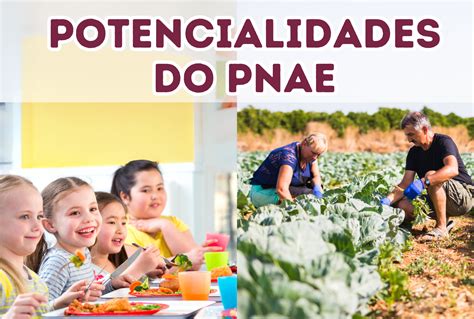 Potencialidades Do Programa Nacional De AlimentaÇÃo Escolar Nutri Da