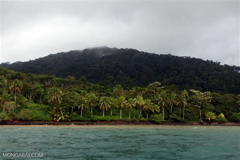 Gorgona Island Colombia4128