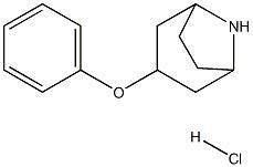 Cas Phenoxy Azabicyclo Octane Hydrochloride