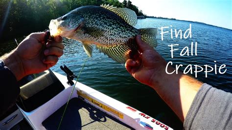 Find Fall Crappie Top 5 Fishing Tips Ep 21 Of 30 Day Challenge YouTube