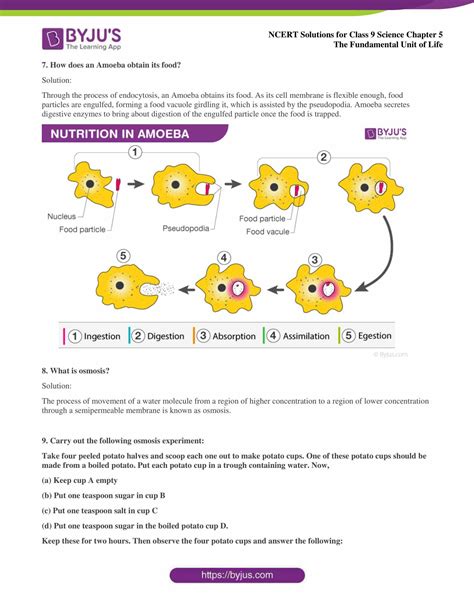 Ncert Solutions For Class Science Chapter The Fundamental Unit Of Life