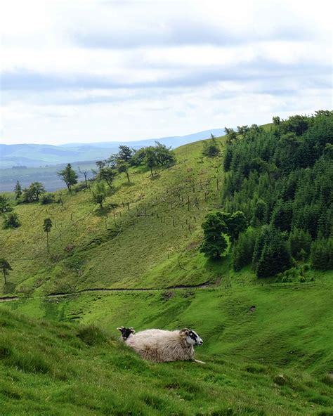 Pentland-Hills-10 - Love, from Scotland