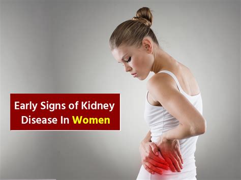 kidney disease symptoms  females onlymyhealth