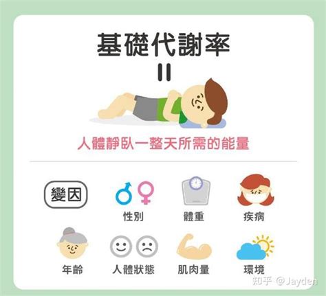 提高新陈代谢的小妙招 知乎