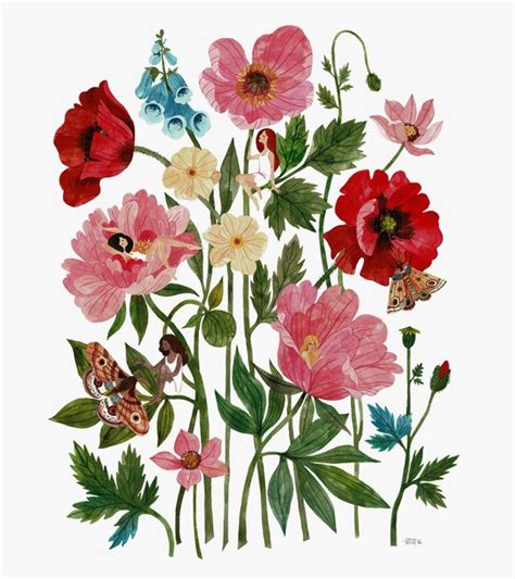 Plant Ladies Oana Befort Wildflower Drawing Giclee Art Print Flower Art