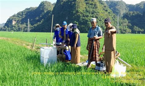 Sikapi El Nino Petani Dan Penyuluh Pangkajene Kepulauan Lakukan