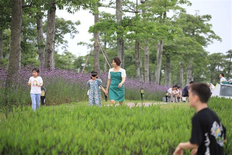 累计接待游客387万人次，这个“五一”横琴被更多人看见客流合作区城市