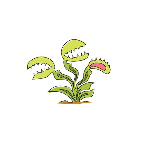 Premium Vector One Continuous Line Drawing Venus Flytrap Decor Wall