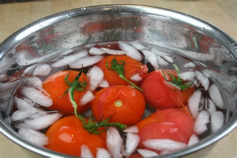 Tomato Bread Salad