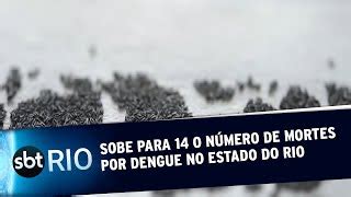 Sobe Para O N Mero De Mortes Por Dengue No Estado Do Rio Sbt