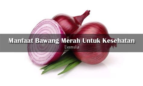 Manfaat Bawang Merah Untuk Kesehatan Eva Mulia Clinic