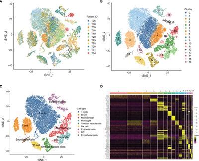 Frontiers Identification And Validation Of A Novel Signature Based On