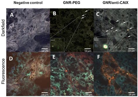 Representative 60x Hyperspectral Dark Field Images A C And