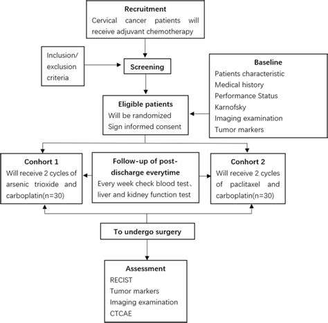 Flow Chart Of The Study Recist Response Evaluation Criteria In Solid