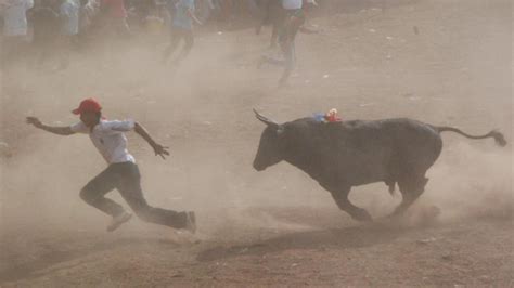 Muere Hombre Corneado En El Cuello Por Un Toro En Las