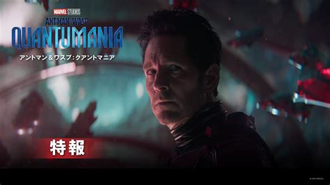 『アントマン＆ワスプ：クアントマニア』2023年2月17日に日本公開決定！ Screen Online（スクリーンオンライン）