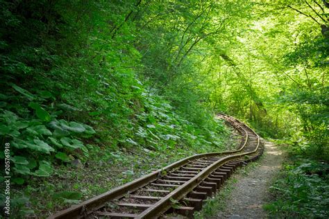 Old Narrow Gauge Railway In The Forest In Summer Overgrown With Plants