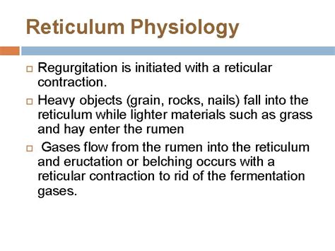 DIGESTIVE TRACT IN RUMINANTS Ruminants Reticulum Rumen Omasum