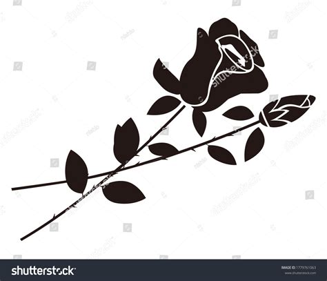 Vector Illustration Rose Rose Silhouette Stock Vector Royalty Free