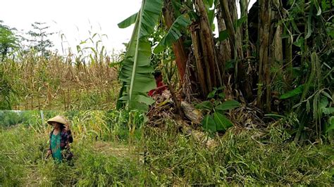 Inilah Tempat Tempat Yang Sangat Seram Di Sekeliling Rumah Mak Tumini